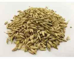 Кормовой / Кормовий