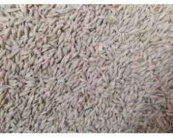 Одесский 151 / Одеський 151