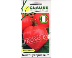 Supernova F1 / Супернова F1