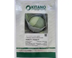 Honka F / Хонка F1