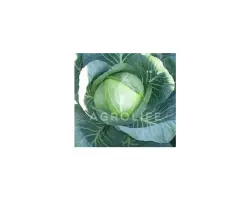 Furios F1 / Фуріос F1