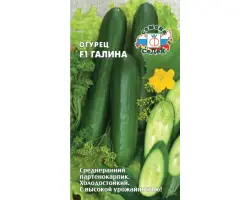 Galina F1 / Галина F1