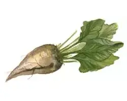 NS-H-082 RC / НС-Х-082 РЦ