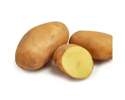 GWENNE / ГВЕННЕ