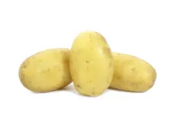 Fidelia / Фіделія