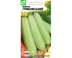 Hrybovs`kyi 37 / Грибовський 37