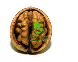 Рудковский / Рудківський