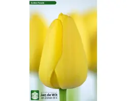 Голден Парад