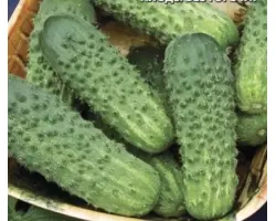 ГРАНДАНДРЕА