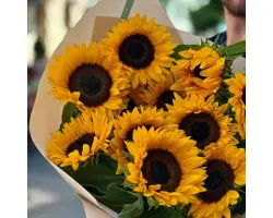 Ф 7 ЕВ 2 МИА Х Ф 7 ЕВ 11 МИ