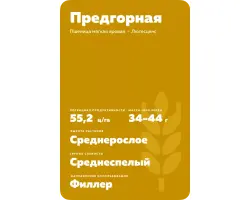 ПРЕДГОРНАЯ