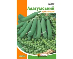 АДАГУМСКИЙ