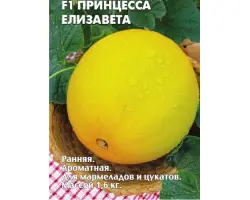 ПРИНЦЕССА ЕЛИЗАВЕТА