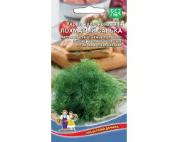 ЛОХМАТЫЙ САНЬКА