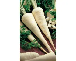 УРАЛЬСКАЯ УСАДЬБА