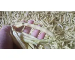 Unidor / Унідор