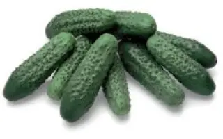 Престо РЦ F1 / Presto RZ F1