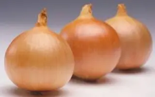 Братко F1 / Bratko F1