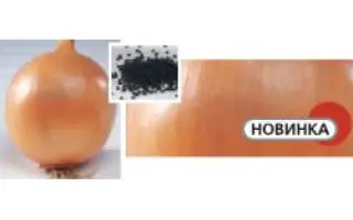 Солюшн F1 / Solution F1