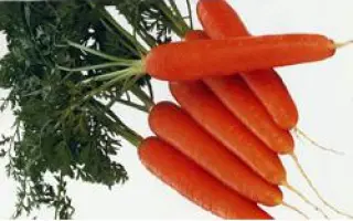 Монтана РЦ / Montana RZ