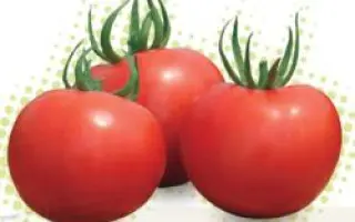 Силует F1 / Siluet F1