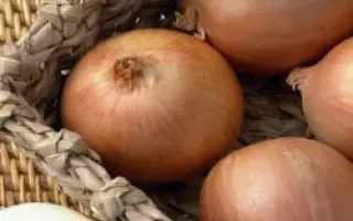 Антилопа F1 / Antelope F1