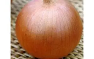 Блустер F1 / Blooster F1