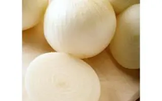 Сьерра Бланка F1 / Sierra Blanca F1