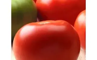 Саншайн F1 / Sunshine F1