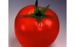 Таня F1 / Tanya F1