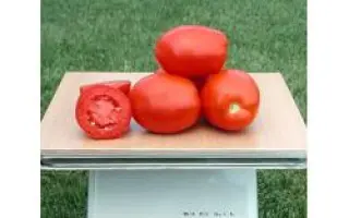 Миссури Оригинальный / Missouri Original