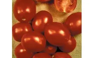 Пето 86 Оригинальный / Peto 86 Original