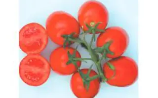 Прогресс F1 / Progress F1