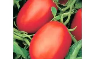 Рио Фуего Оригинальный / Rio Fuego Original