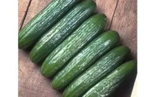 Вавилон F1 / Babilon F1