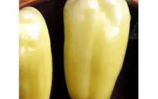 Альбатрос F1 / Albatross F1