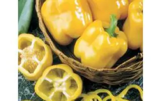 Эрли Сансейшн X3R F1 / Early Sunsation X3R F1