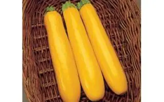 Голд Раш F1 / Goldrush F1