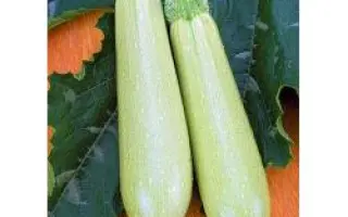 Искандер F1 / Eskanderany F1