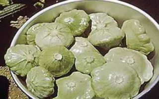 Патти Грин Тинт F1 / Patty Green Tint F1