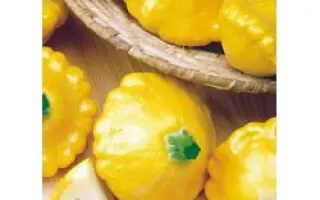 Солнечное очарование F1 / Sunny Delight F1