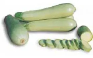 Сангрум F1 / Sungroom F1