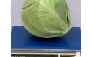 Фуриос F1 / Furios F1