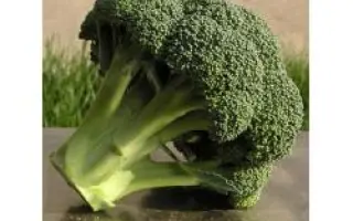 Айронмен F1 / Irionman F1