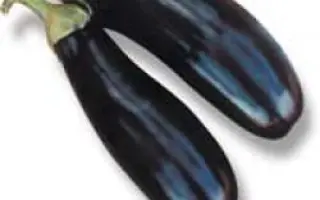 Анет F1 / Anet F1