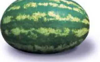 Леди F1 / Lady F1