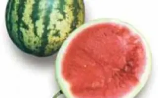 Виктория F1 / Victoria F1