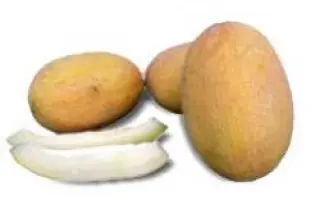 Делано F1 / Delano F1