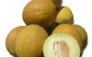 Роксолана F1 / Roxolana F1