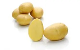 Секура / Sekura
